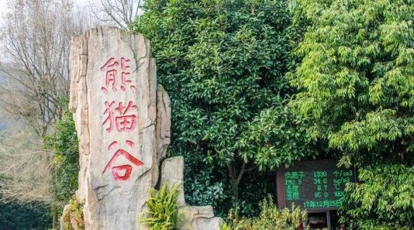 6人被终生禁入熊猫基地，熊猫比人还珍贵？