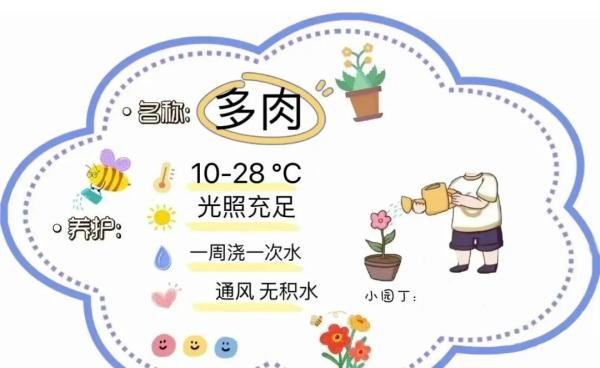 棒的幼儿园动植物角植物名称牌、可打印直接使用！看过的园长幼师都收藏了！