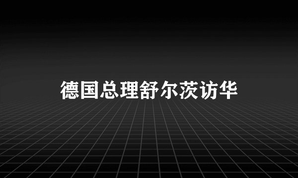 德国总理舒尔茨访华