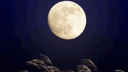 心朗如月自在如风是什么意思？