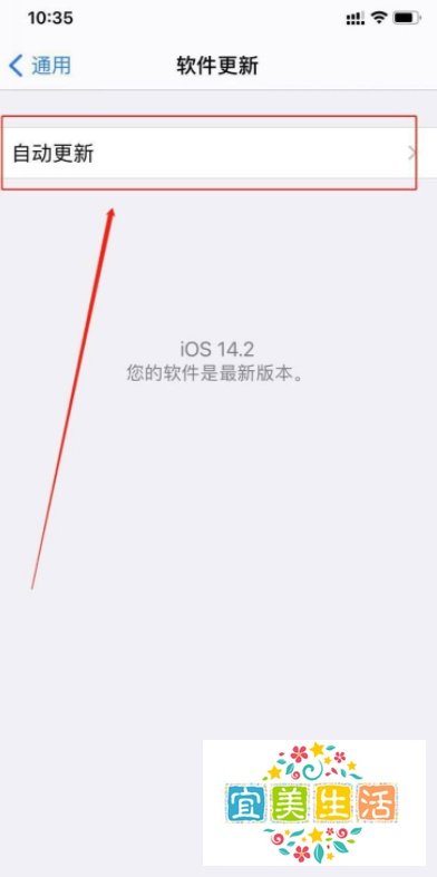 苹果手机ios14怎么设置系统自动更新