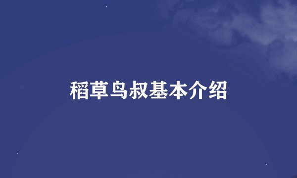 稻草鸟叔基本介绍