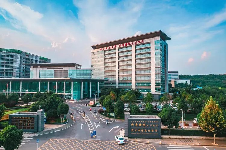 上海小提琴手陈顺平因病求助未果自杀身亡,此事背后哪些问题值得关注?