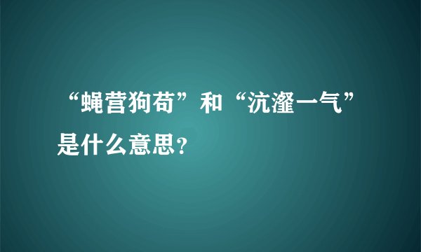 “蝇营狗苟”和“沆瀣一气”是什么意思？