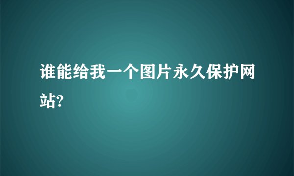 谁能给我一个图片永久保护网站?