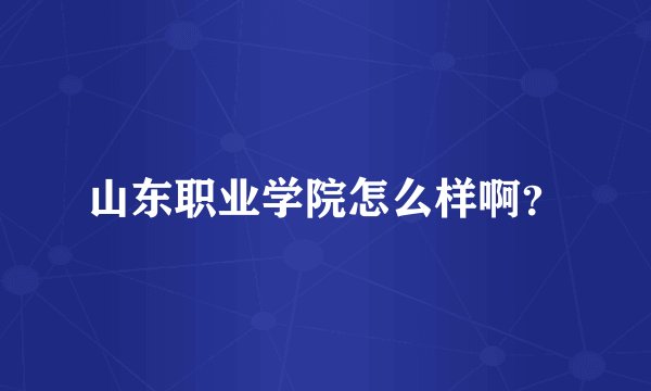 山东职业学院怎么样啊？