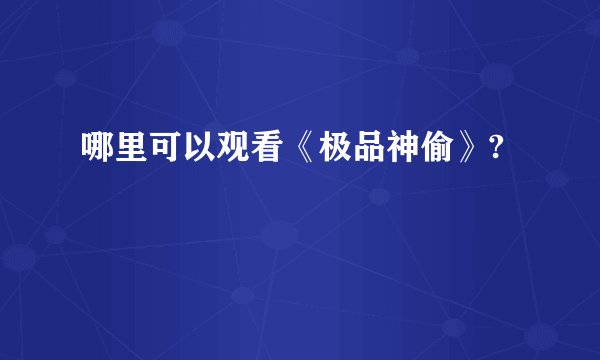 哪里可以观看《极品神偷》?