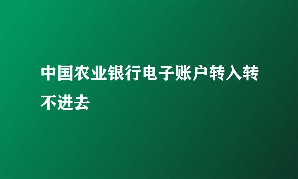 中国农业银行电子账户转入转不进去