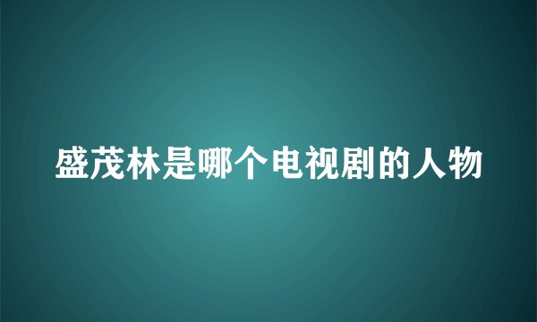 盛茂林是哪个电视剧的人物