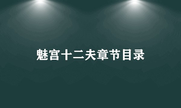 魅宫十二夫章节目录