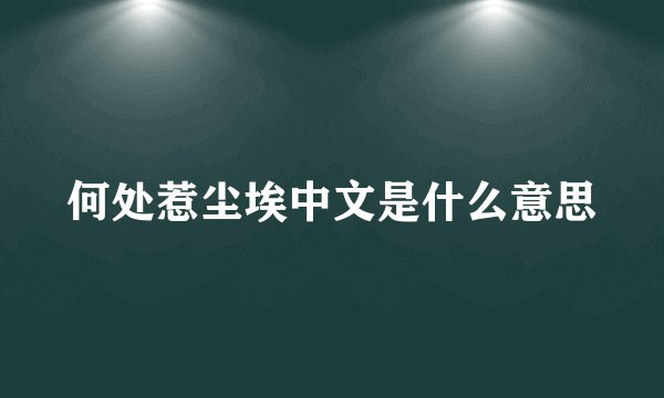 何处惹尘埃中文是什么意思