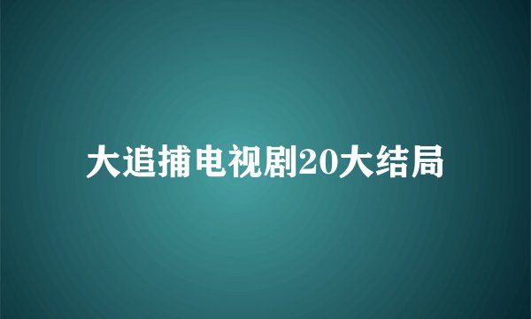 大追捕电视剧20大结局