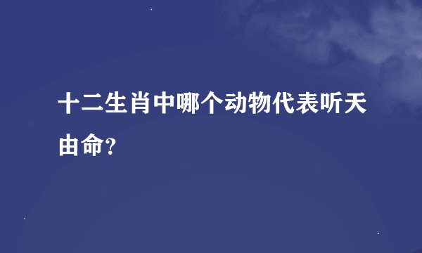 十二生肖中哪个动物代表听天由命?