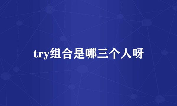 try组合是哪三个人呀