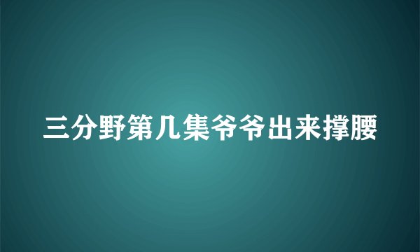 三分野第几集爷爷出来撑腰