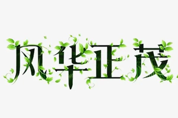 芳华正茂什么意思