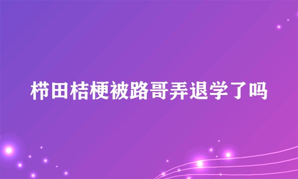 栉田桔梗被路哥弄退学了吗