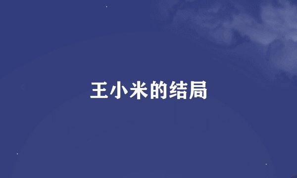 王小米的结局