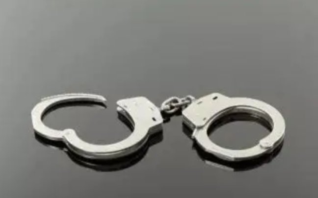 上海一女大学生虚开发票被判2年开除学籍,这其中蕴含的法律原因是什么?