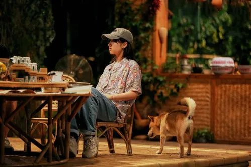 如今《向往的生活》口碑逐渐下降,为何会被观众吐槽“无聊”?