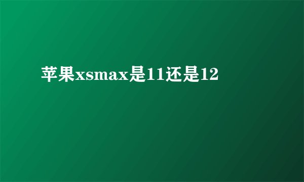 苹果xsmax是11还是12