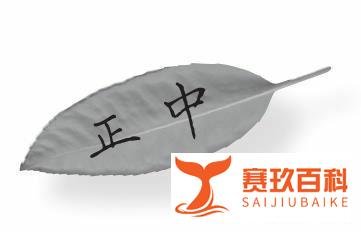 《树下神猫的告白》:愿每个人都能遇到自己的神猫