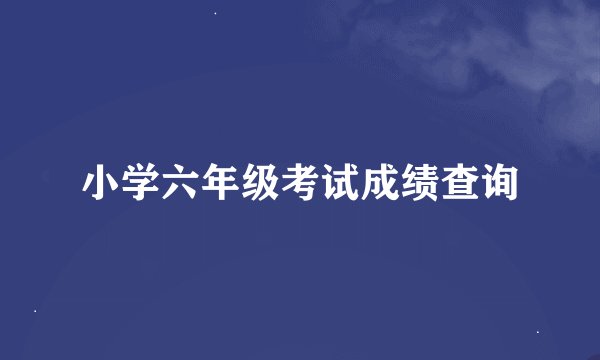 小学六年级考试成绩查询
