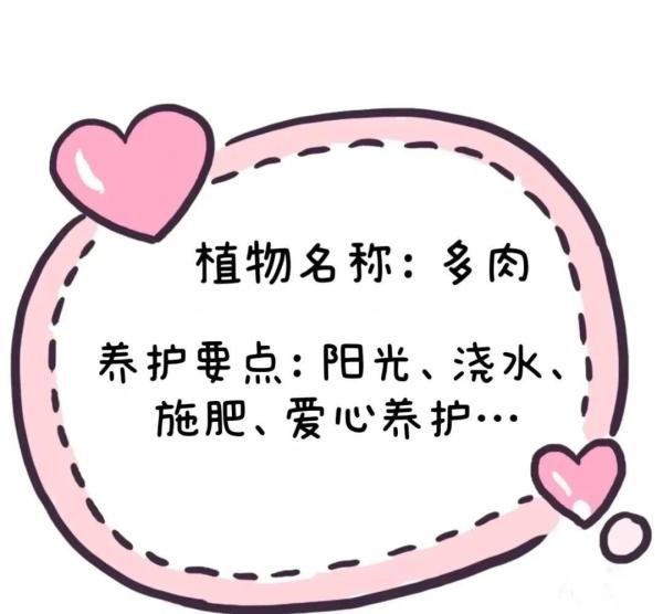 棒的幼儿园动植物角植物名称牌、可打印直接使用！看过的园长幼师都收藏了！