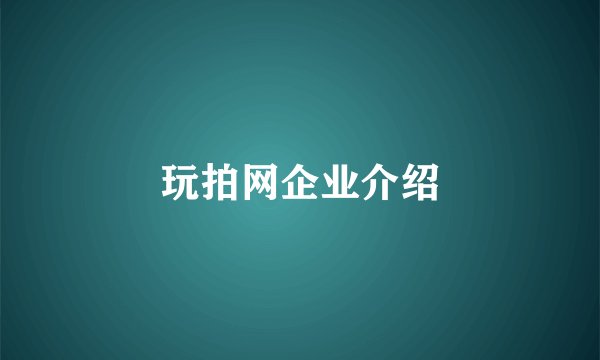 玩拍网企业介绍