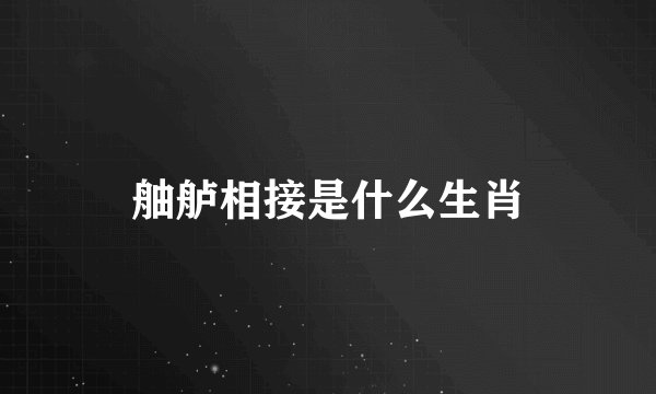 舳舻相接是什么生肖