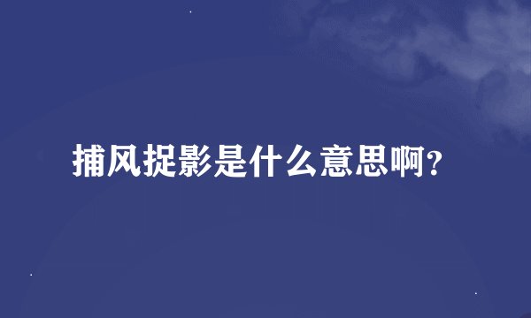 捕风捉影是什么意思啊?