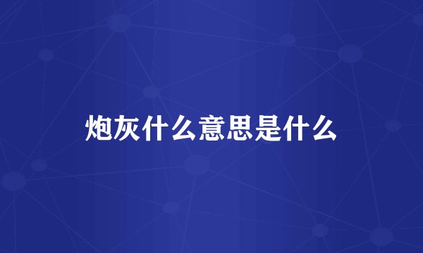 炮灰什么意思是什么