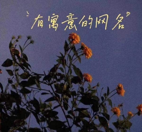 2023年女最旺财的网名是什么?
