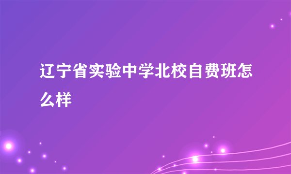 辽宁省实验中学北校自费班怎么样
