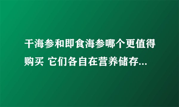 干海参和即食海参哪个更值得购买 它们各自在营养储存烹饪方面有哪些优缺点