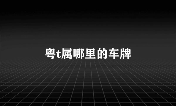 粤t属哪里的车牌