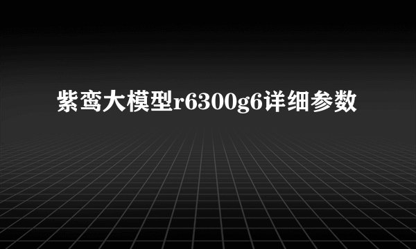 紫鸾大模型r6300g6详细参数
