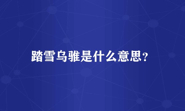 踏雪乌骓是什么意思？