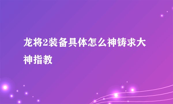 龙将2装备具体怎么神铸求大神指教