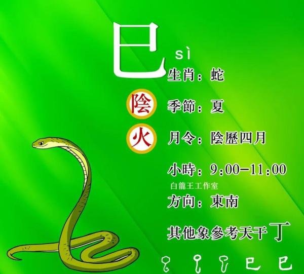 十二地支详解：巳代表什么含义