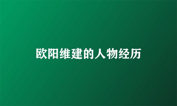 欧阳维建的人物经历