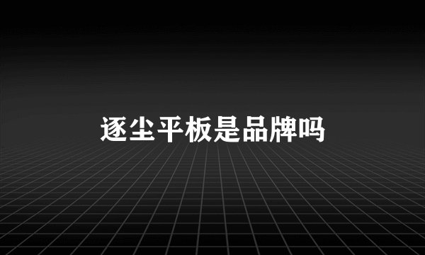 逐尘平板是品牌吗