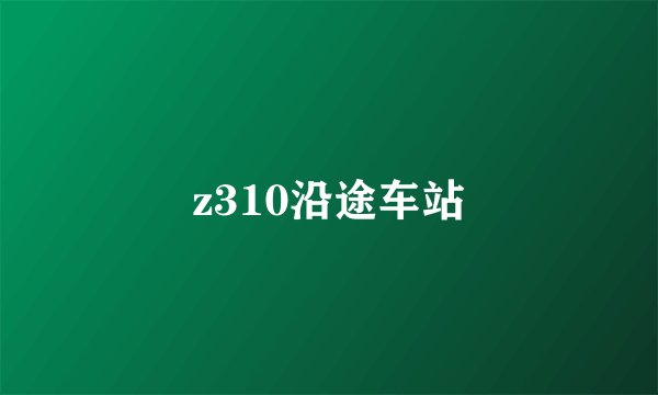 z310沿途车站