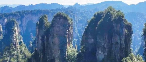 张家界国家森林公园5个门票站从那个进比较好，张家界森林公园怎么游玩