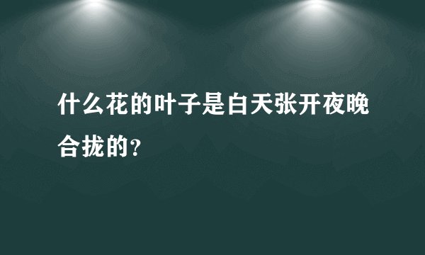 什么花的叶子是白天张开夜晚合拢的？
