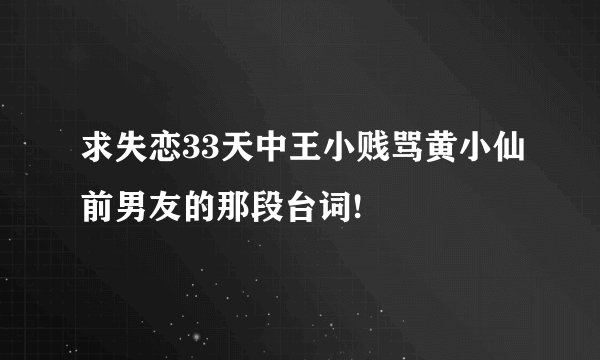 求失恋33天中王小贱骂黄小仙前男友的那段台词!
