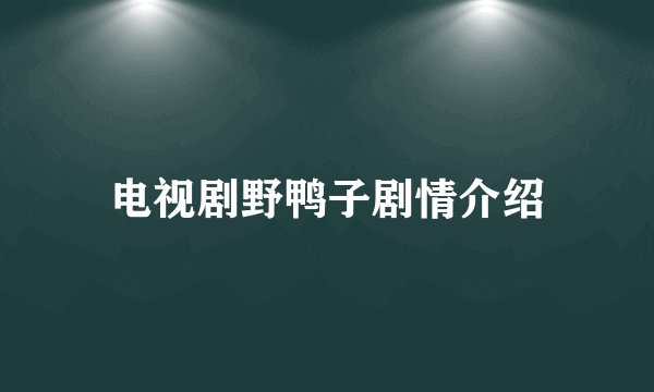 电视剧野鸭子剧情介绍