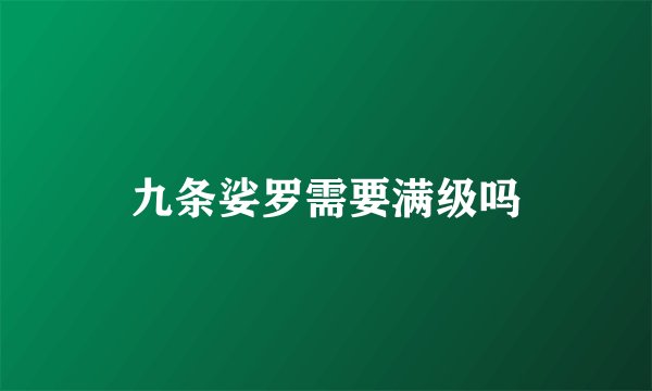 九条娑罗需要满级吗