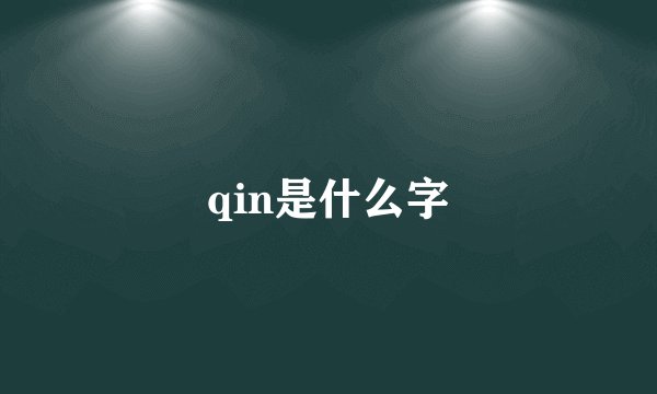 qin是什么字