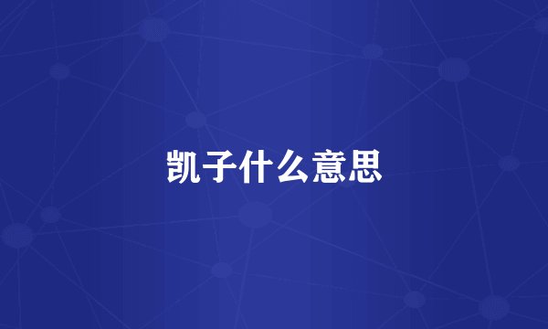 凯子什么意思